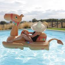 Chameau Gonflable Piscine Kamelito La Boutique Desjoyaux