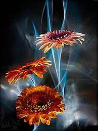 Latest wallpapers, hd images, hd backgrounds. 3d Hd Flowers Mobile Wallpaper Flower Background Wallpaper Hd Flowers Abstract Flowers