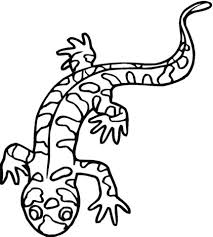 Here you will find our range of 5th grade math brain teasers and puzzles which will help your child apply and practice their math skills to solve a range of challenges and number problems. Salamander Coloring Pages Kidsuki