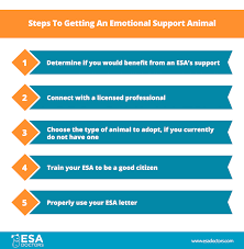 Those applying for a hearing dog must be 18 years or older. Steps To Getting An Emotional Support Animal Esa Doctors