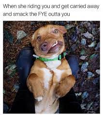 When She Riding You Daily Lol Pics
