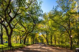 In march 2021, the series was given an early third season renewal and the second season premiered on june 25, 2021. Central Park In New York A Botanical Oasis In New York City Go Guides