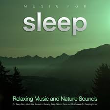 Music For Sleep Relaxing Music And Nature Sounds For Deep Sleep Music For Relaxation Relaxing Sleep Aid And Piano And Bird Sounds For Sleeping Music By Deep Sleep On Tidal