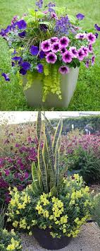 Learn The Designer Secrets To These Beautiful Planting Recipes 24 Stunning Container Garden Designs Wit Container Plants Garden Containers Container Gardening