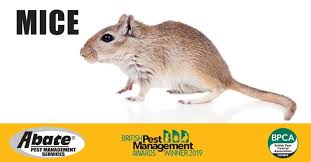 L'annuaire professionnel 411 regorge d'indications routières, de coordonnées, de commentaires et abate pest control limited a division of 641847. Jon Blake Managing Director Abate Pest Management Linkedin