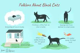 Black Cat Folklore Beliefs Superstitions And Witches Black Cat Folklore Superstition