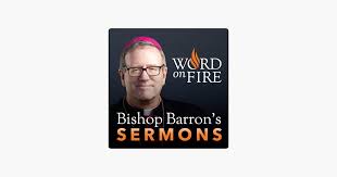 Bishop Robert Barron Word On Fire Podcast Bishop Robert Barron S Sermons Catholic Preaching And Homilies On Apple Podcasts Sermon Preaching Catholic