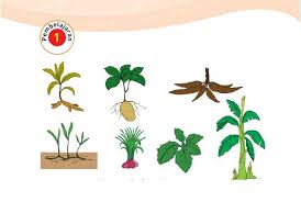 We did not find results for: Kunci Jawaban Buku Tema 1 Kelas 3 Sd Halaman 153 Dan 154 Subtema 4 Pembelajaran 1 Halo Belajar