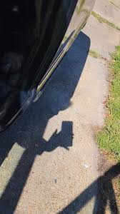 Image result for Light Driftwood 1994 Shadow