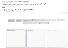 We did not find results for: Reviewing Key Concepts Cellular Organelles Can You Chegg Com