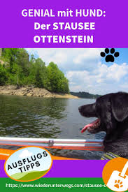 Das bewaldete ufer ist ideal zum wandern und spazieren gehen. Der Ottensteiner Stausee Ein Ausflug Wie Damals Ins Waldviertel Ausflug Stausee Hunde