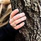 Weekend Wellness: Forest Bathing in Hothfield event image