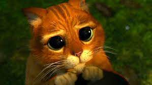 До придбання матір'ю нерухомості не маю жодного стосунку. Їй допомагає моя забезпечена сестра, - "слуга народу" Клочко - Цензор.НЕТ 6294