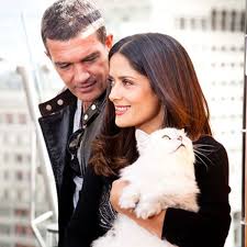 22 Hilarious Pictures Of Wet Cats Cat Bath This Way Come Celebrities With Cats Actors Cat People