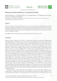 Si nos quedamos con lo esencial, ordenar será una tarea. Pdf Bituminaria Basaltica Fabaceae A New Species From Italy