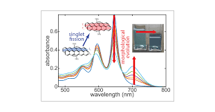 Morphological Evolution and Singlet Fission in Aqueous Suspensions of  TIPS-Pentacene Nanoparticles