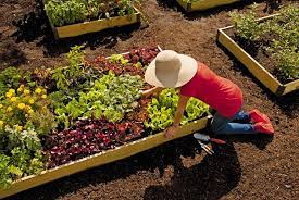 Gardener's supply is still open for business. Amazon Com Gardener S Supply Company