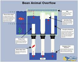 How Durso Herbie And Bean Animal Overflows Work Marine Depot Blog Aquarium Sump Reef Tank Marine Aquarium