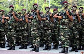 F14d7eb20ac26ca22c0c565cd5a1c2d50ehoe Army Army Images Military Forces