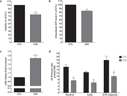 Stimulation of P2Y11 receptor protects human cardiomyocytes against  Hypoxia/Reoxygenation injury and involves PKCε signaling pathway