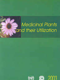 Image result for Sphaeranthus chandleri