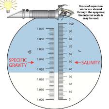 marine aquarium water quality how to maintain proper