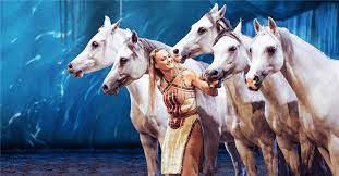 Wow Friends And Family With Tickets To Odysseo By Cavalia Playing In Camarillo Now Through January 21st California Life Hd