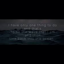 I Have Only One Thing To Do And That S To Be The Wave That I Am And Then Sink Back Into The Ocean Fiona Apple Lyric Words Quotes Contemporary Romance Novels