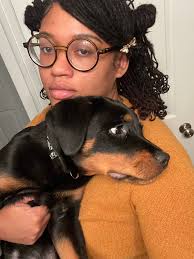 Introduction of new Rottweiler puppy Susie Q