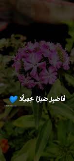 فصبر صبرا جميلا Positive Life Flowers Plants