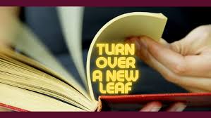 Learn English Idioms: Turn Over a New Leaf - International Bears