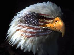Image result for american eagle