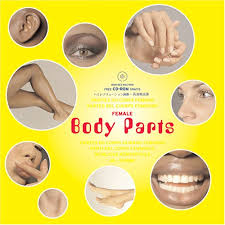 Learn these parts of body names to increase your vocabulary words in english. Female Body Parts Agile Rabbit Editions Pepin Press 9789057680649 Amazon Com Books