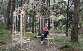 Shakira cancels all 2017 el d. Wisata Bukit Baros Kesejukan Perbukitan Hutan Pinus Agustus 2021 Travelspromo