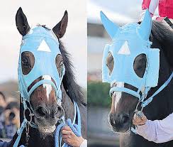 亜琉帝滅屠麗埿偉〜ultimate lady〜 連載：3話 原作：曉!!男塾 作：大岡 ひじき. æœ‰é¦¬è¨˜å¿µ ã‚ªã‚¸ãƒ¥ã‚¦ãƒãƒ§ã‚¦ã‚µãƒ³äºŒåˆ€æµã®å¤¢ ï¼– ç‰¹æ³¨ãƒ¡ãƒ³ã‚³ã§ã¤ã„ã«ç´ è³ªé–‹èŠ± éšœå®³é‡è³žï¼™é€£å‹ã¸ ã‚¹ãƒãƒ¼ãƒ„å ±çŸ¥