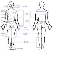 Diode laser hair removal systems are suitable for use on darker skin types and best for thick, coarse hair, making them ideal for treating back and chest areas. Surrey Bc Laser Hair Removal Professional Permanent Packages
