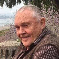 Mr. R.A "Loek" van der Meulen Obituary