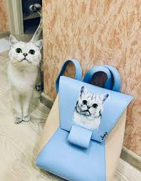 ryukzak s risunkom kota bags fashion backpack backpacks