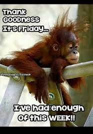 After a while the lizard says his mouth is 'dry', and that he's going to get a drink from the river. Pin By Lim Boon On It S Friday Woohoo Monkeys Funny Cute Animals Cute Baby Animals