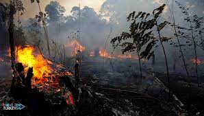 A forest fire that broke out in turkey's southwestern muğla province on june 27 has been brought under control, a local official said. Successive Forest Fires Occur In The Marmaris Region Move 2 Turkey
