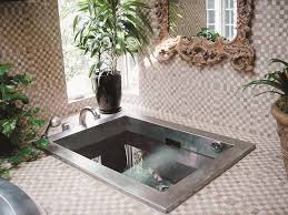 Cold Plunge Pools Plunge Pool Plunge Pool Pool Hot Tub Dipping Pool