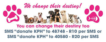 Find your new best friend below—or adopt at a petco store. Kitty And Puppy Haven Home Facebook