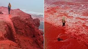 Pictured: Bizarre 'blood rain' phenomenon sees landscape washed in red by  heavy downfall | Daily Mail Online
