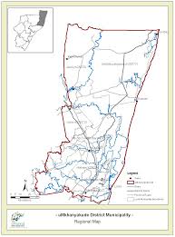 Image result for Aspidoglossum hirundo