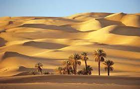 We would like to show you a description here but the site won't allow us. 10 Maiores Desertos Do Mundo Km2 Wuste