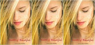 North of Beautiful by Justina Chen.