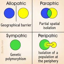 4 Basic Modes Of Speciation Biology Lessons High School Biology Lessons High School Biology