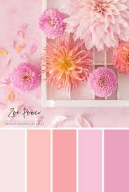 Get free shipping on qualified orders! These Beautiful Dahlias In Soft Blush Pinks Pastel Pinks And Warm Oranges Were The Inspiration F Color Palette Pink Coral Colour Palette Pastel Colour Palette