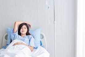 Image result for Orthopichonia