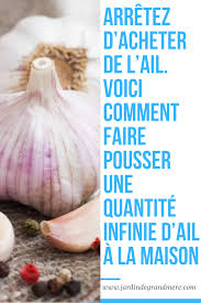 Arretez D Acheter De L Ail Voici Comment Faire Pousser Une Quantite Infinie D Ail A La Maison Jardinage En Pots Jardinage Bio Astuces De Jardinage Bio